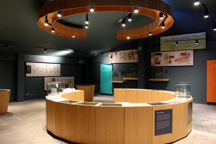 Museu Arqueologico Nueva Esperanza
