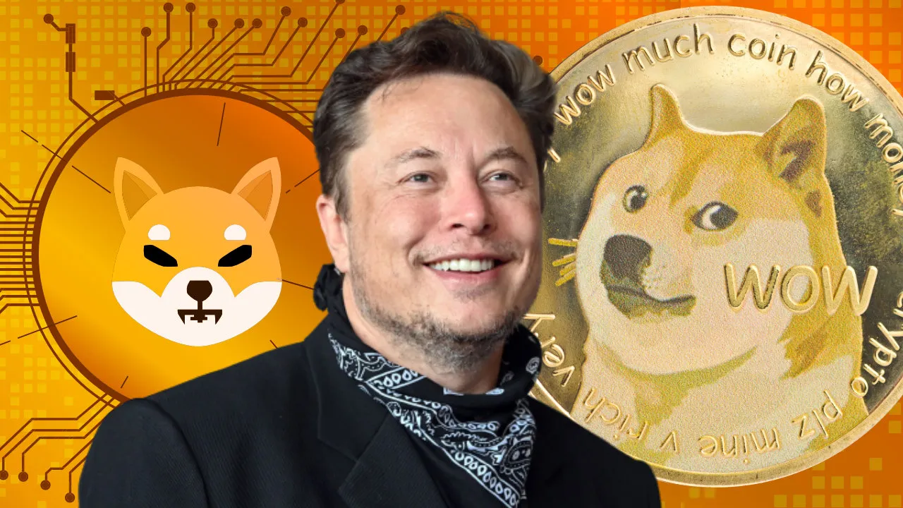  Elon Musk Shiba Inu Coin vai subir